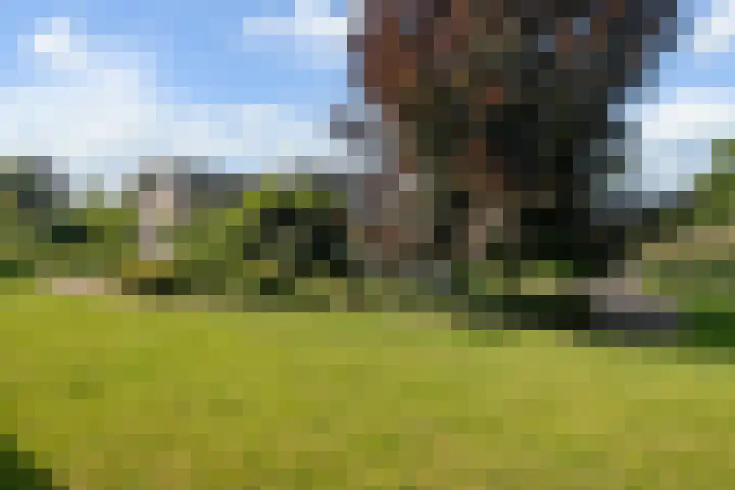 Kloosterlaan 4 Huissen thumbnail 38