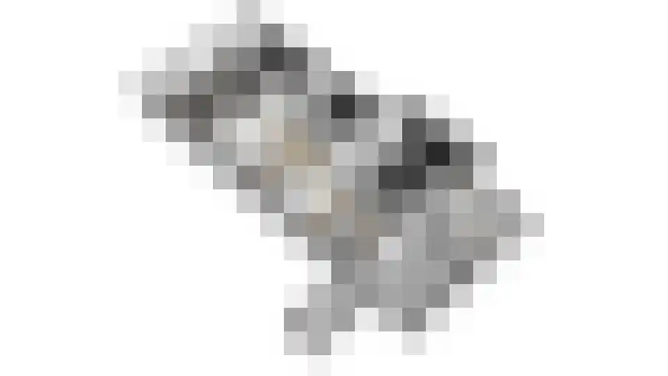 Kloosterlaan 4 Huissen thumbnail 45