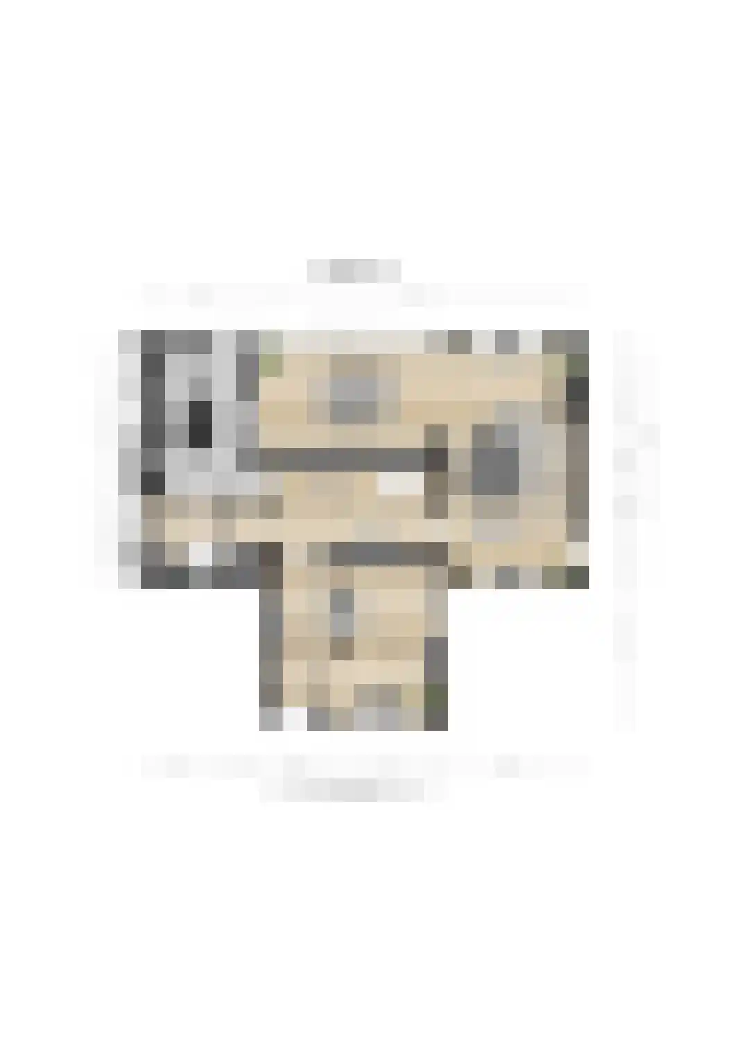 Kloosterlaan 4 Huissen thumbnail 47