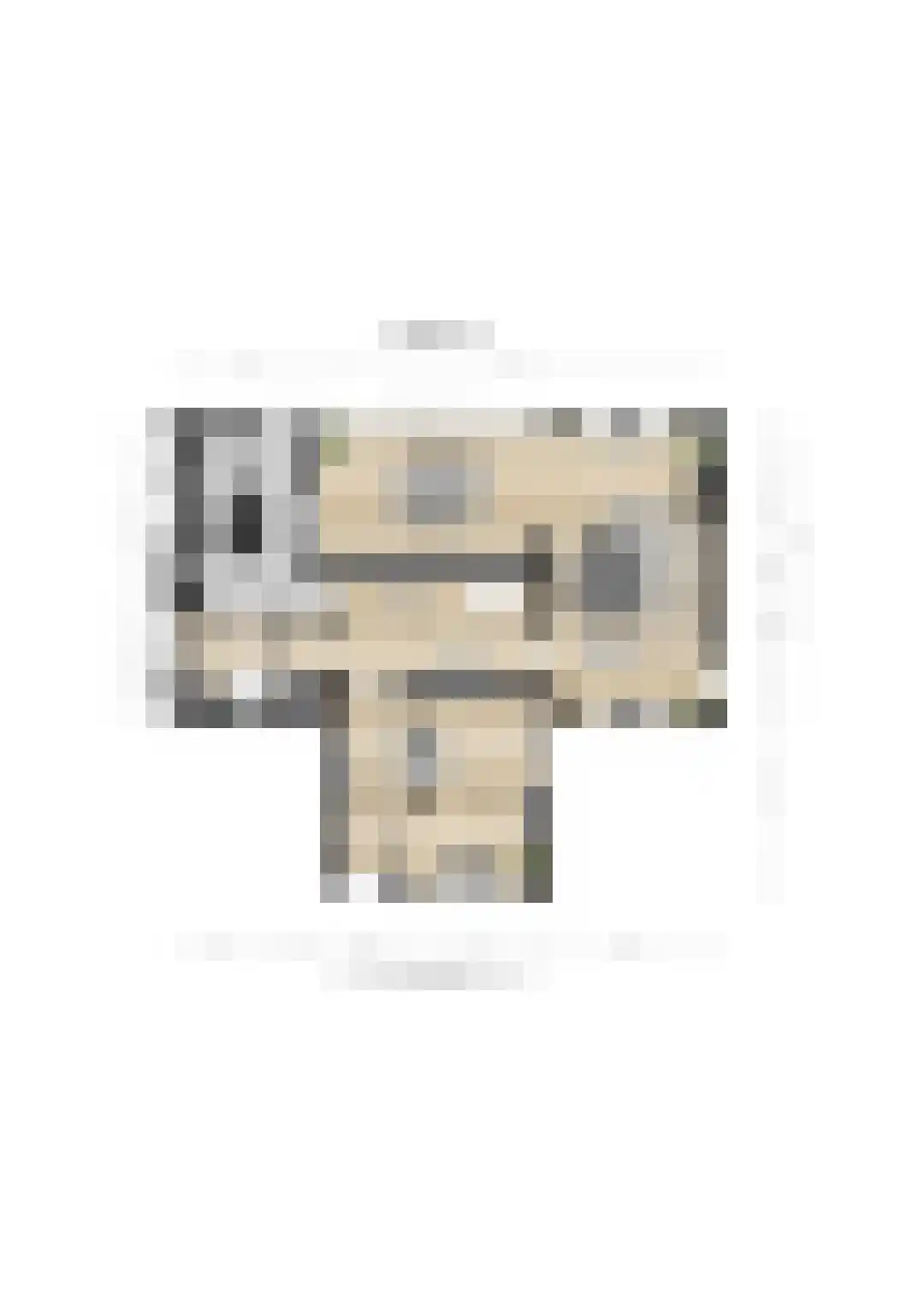 Kloosterlaan 4 Huissen thumbnail 49