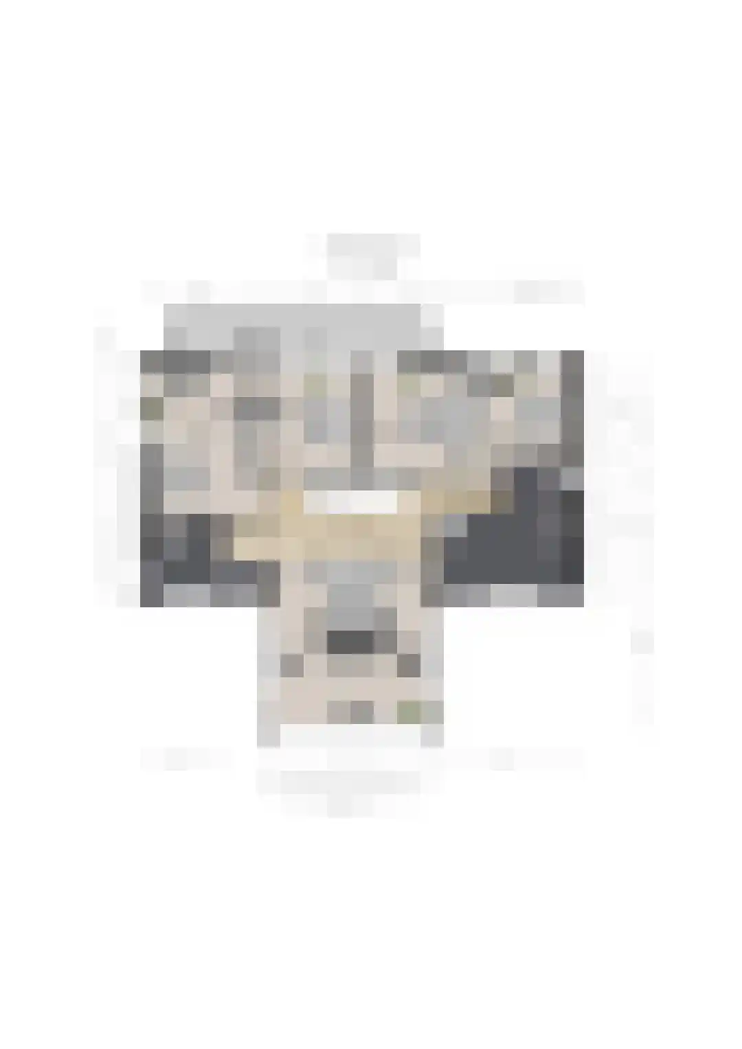 Kloosterlaan 4 Huissen thumbnail 50
