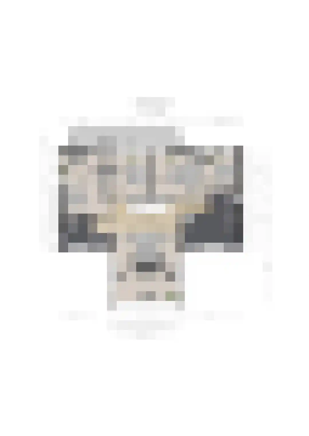 Kloosterlaan 4 Huissen thumbnail 52