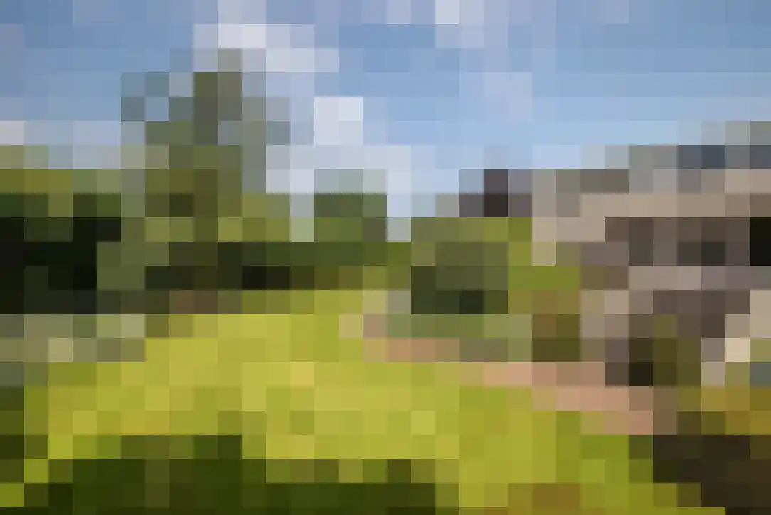 Kloosterlaan 4 Huissen thumbnail 6