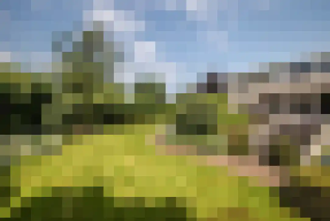 Kloosterlaan 4 Huissen thumbnail 9