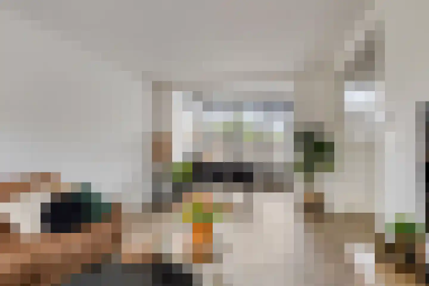 Kloosterlaan 45 Goor thumbnail 10