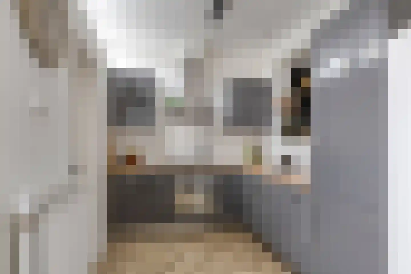 Kloosterlaan 45 Goor thumbnail 15