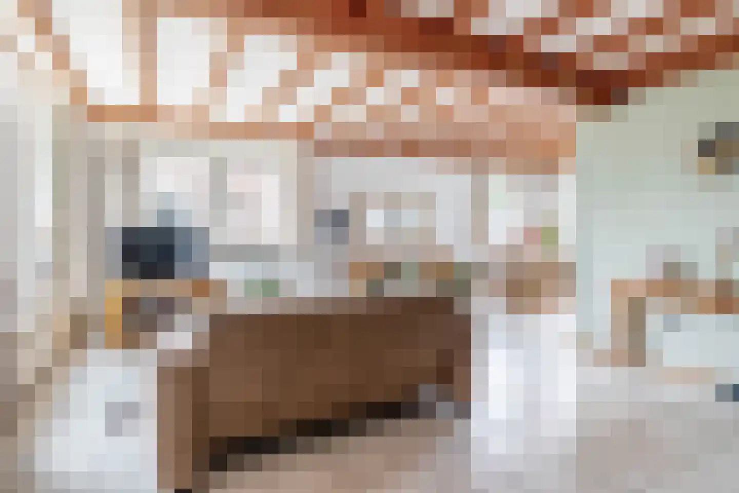 Kloosterlaan 47 Langeweg thumbnail 10