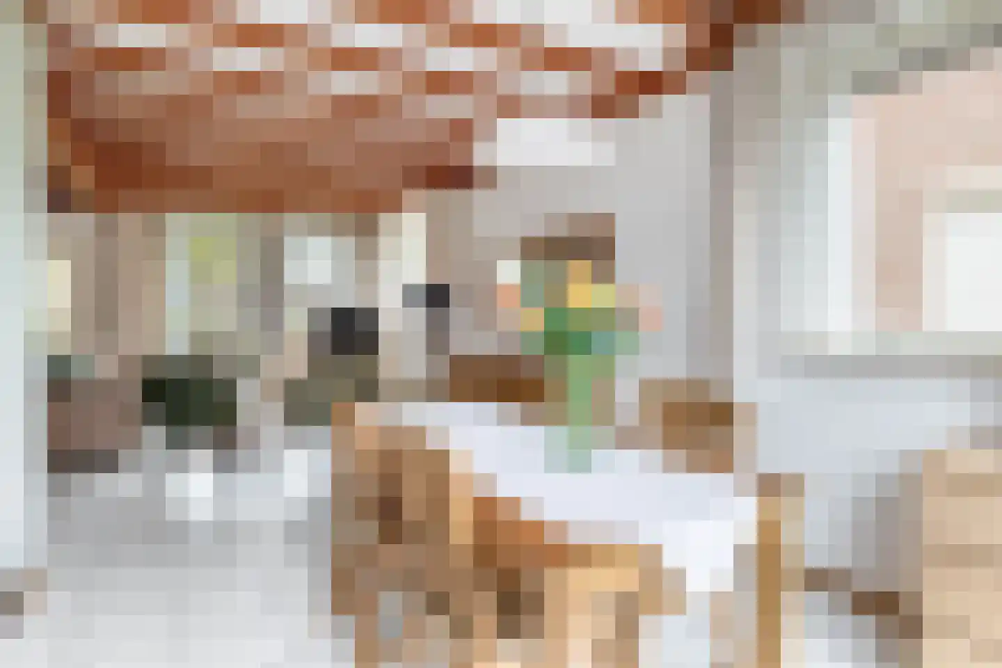 Kloosterlaan 47 Langeweg thumbnail 11