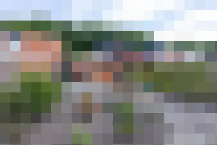 Kloosterlaan 48 Winschoten thumbnail 30