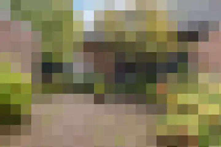 Kloosterlaan 5 De Bilt thumbnail 17