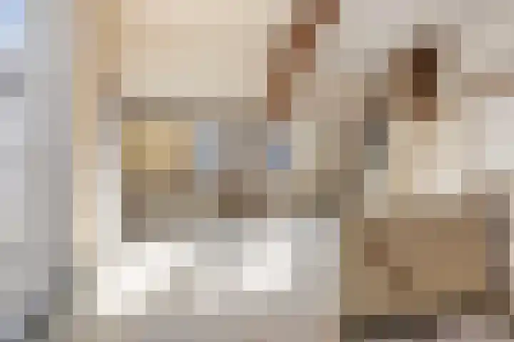 Kloosterlaan 5 De Bilt thumbnail 20
