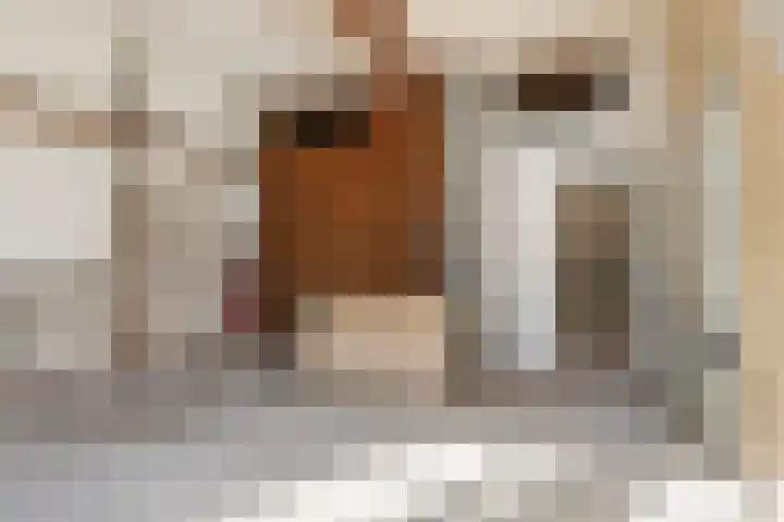 Kloosterlaan 5 De Bilt thumbnail 21