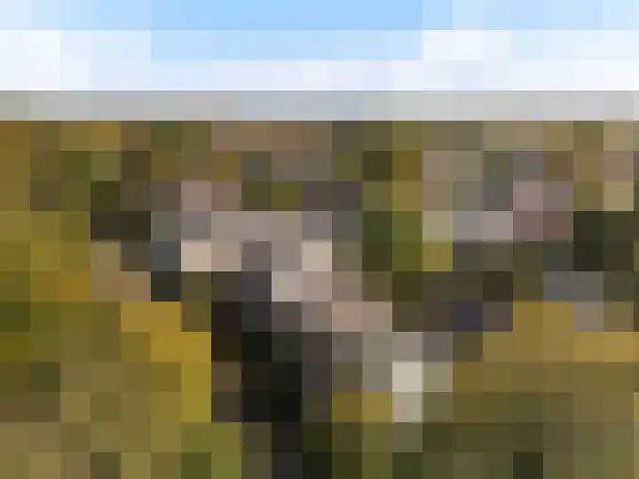 Kloosterlaan 5 De Bilt thumbnail 24