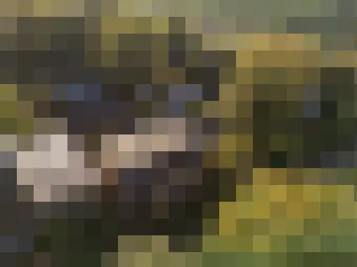 Kloosterlaan 5 De Bilt thumbnail 25