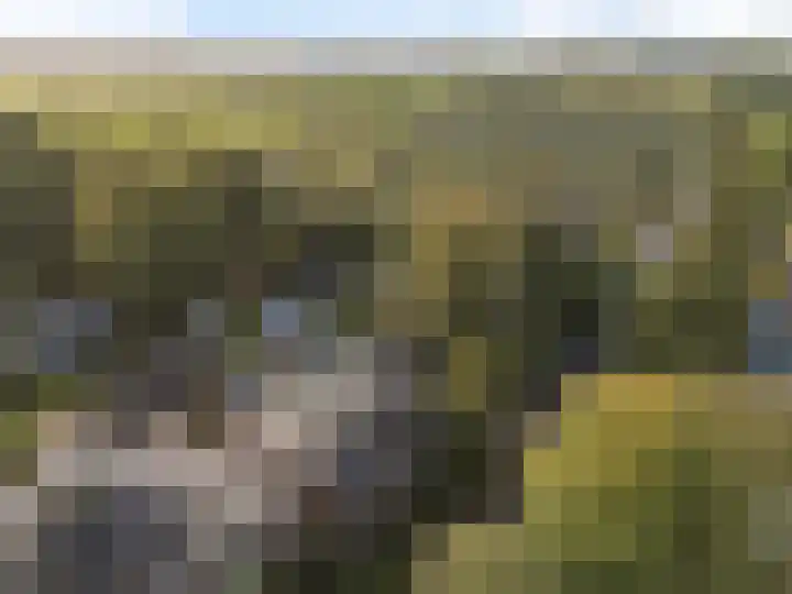 Kloosterlaan 5 De Bilt thumbnail 26