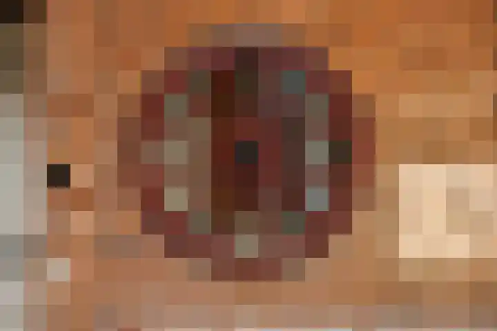 Kloosterlaan 5 De Bilt thumbnail 8