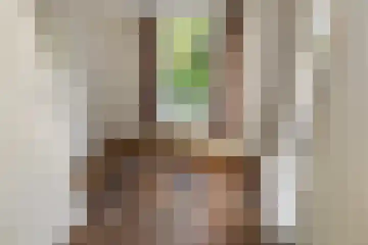 Kloosterlaan 5 De Bilt thumbnail 9