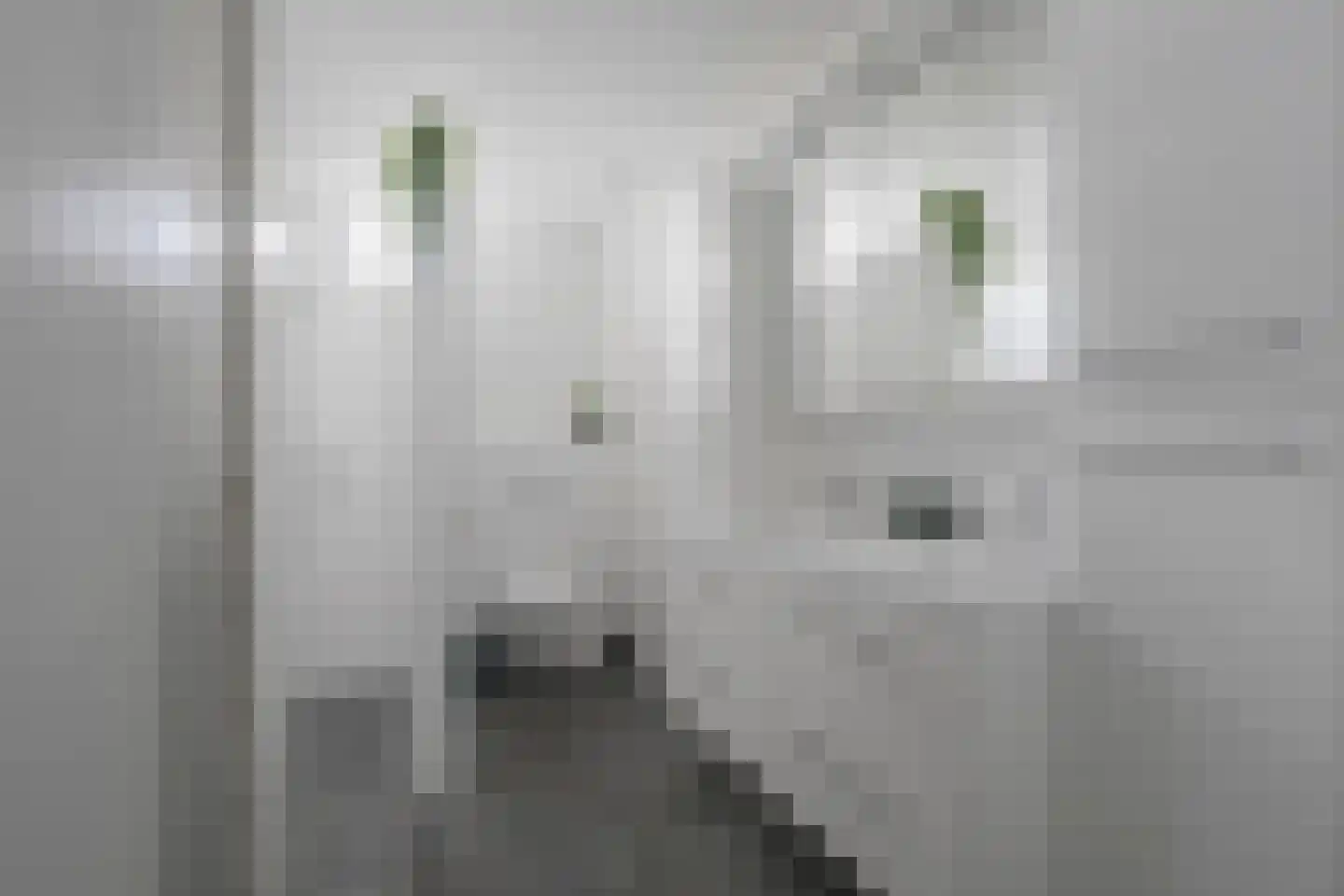 Kloosterlaan 5 Langeweg thumbnail 23