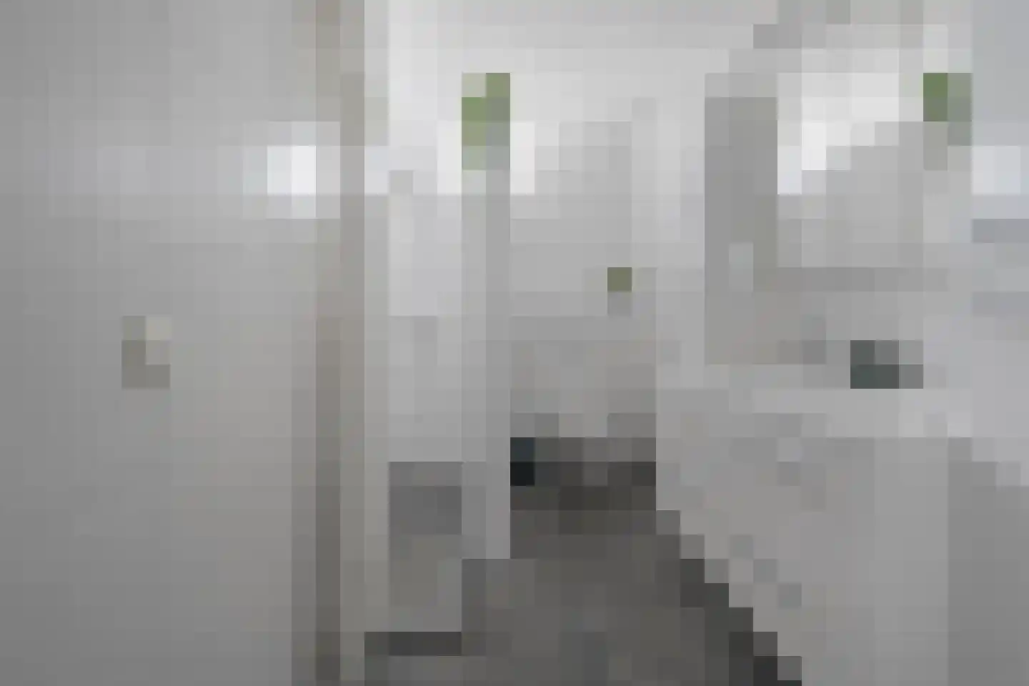 Kloosterlaan 5 Langeweg thumbnail 24