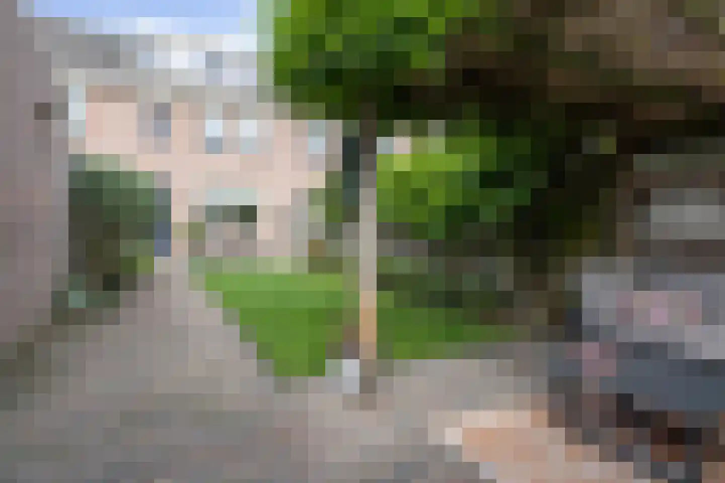Kloosterlaan 5 Langeweg thumbnail 39