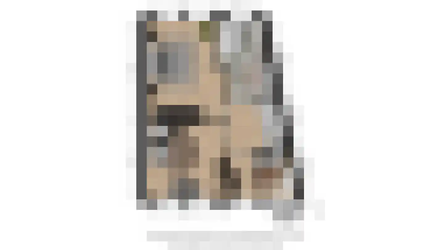 Kloosterlaan 5 Langeweg thumbnail 48