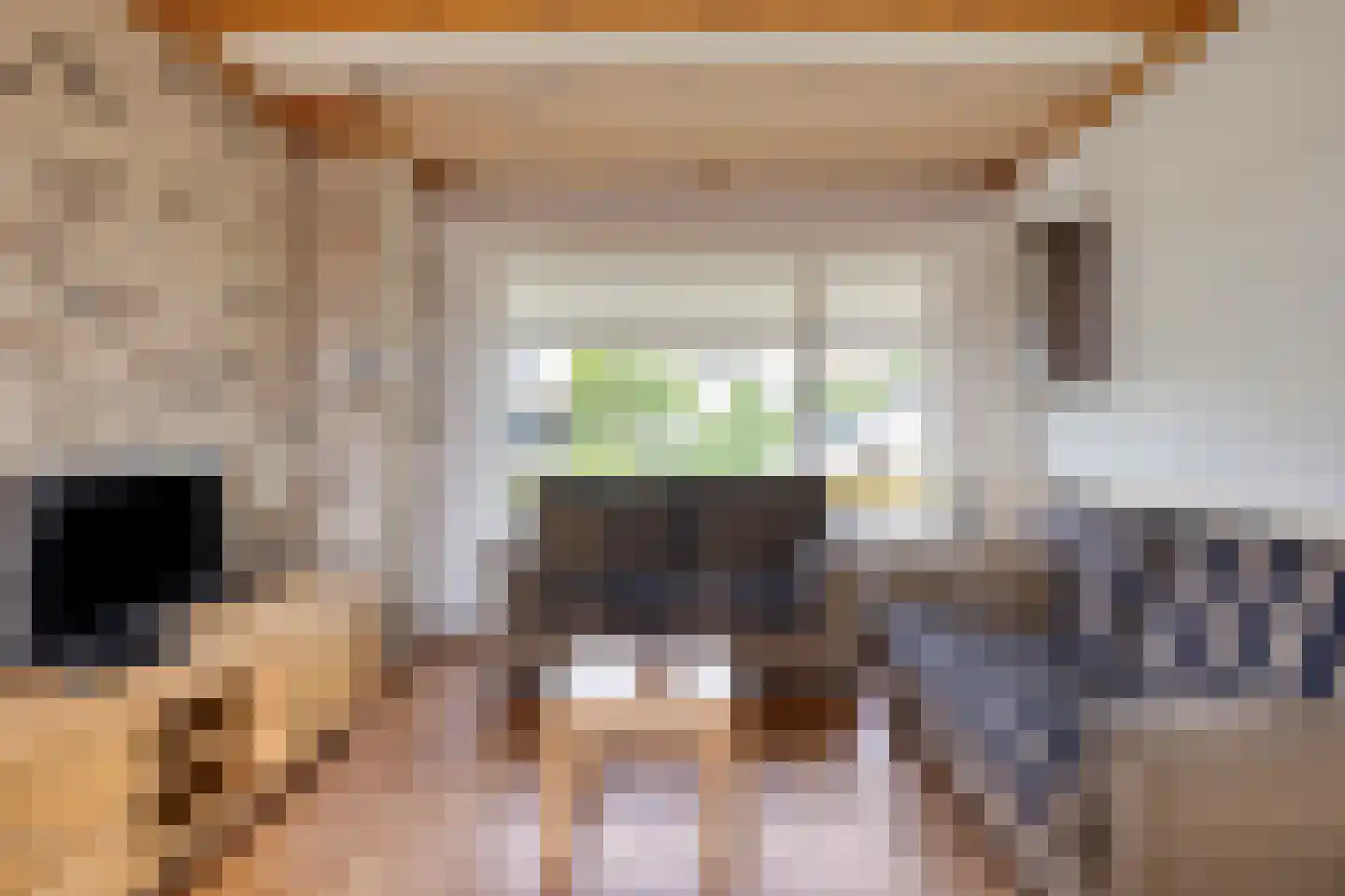 Kloosterlaan 53 Goor thumbnail 4