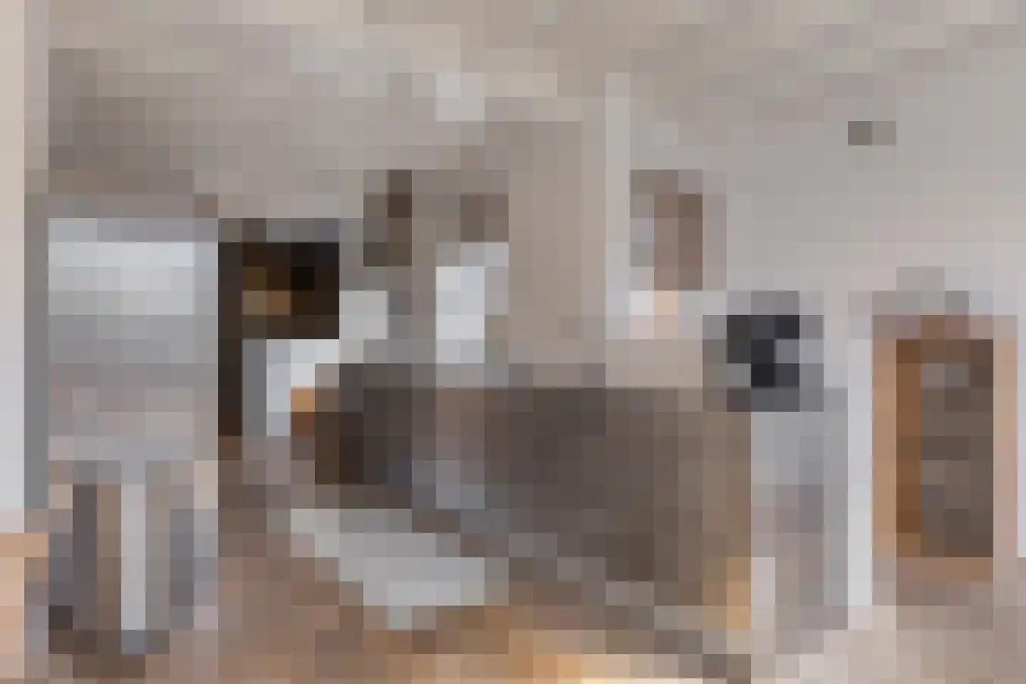 Kloosterlaan 57 Moergestel thumbnail 10