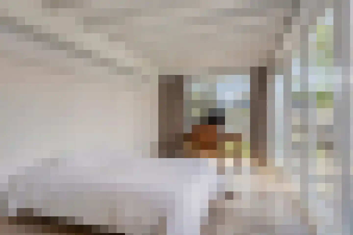 Kloosterlaan 57 Moergestel thumbnail 17