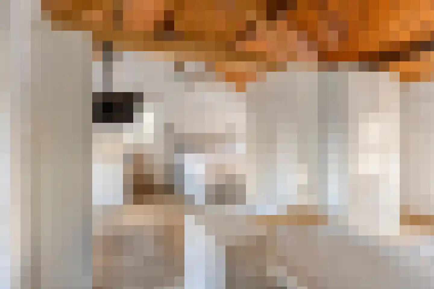 Kloosterlaan 57 Moergestel thumbnail 22