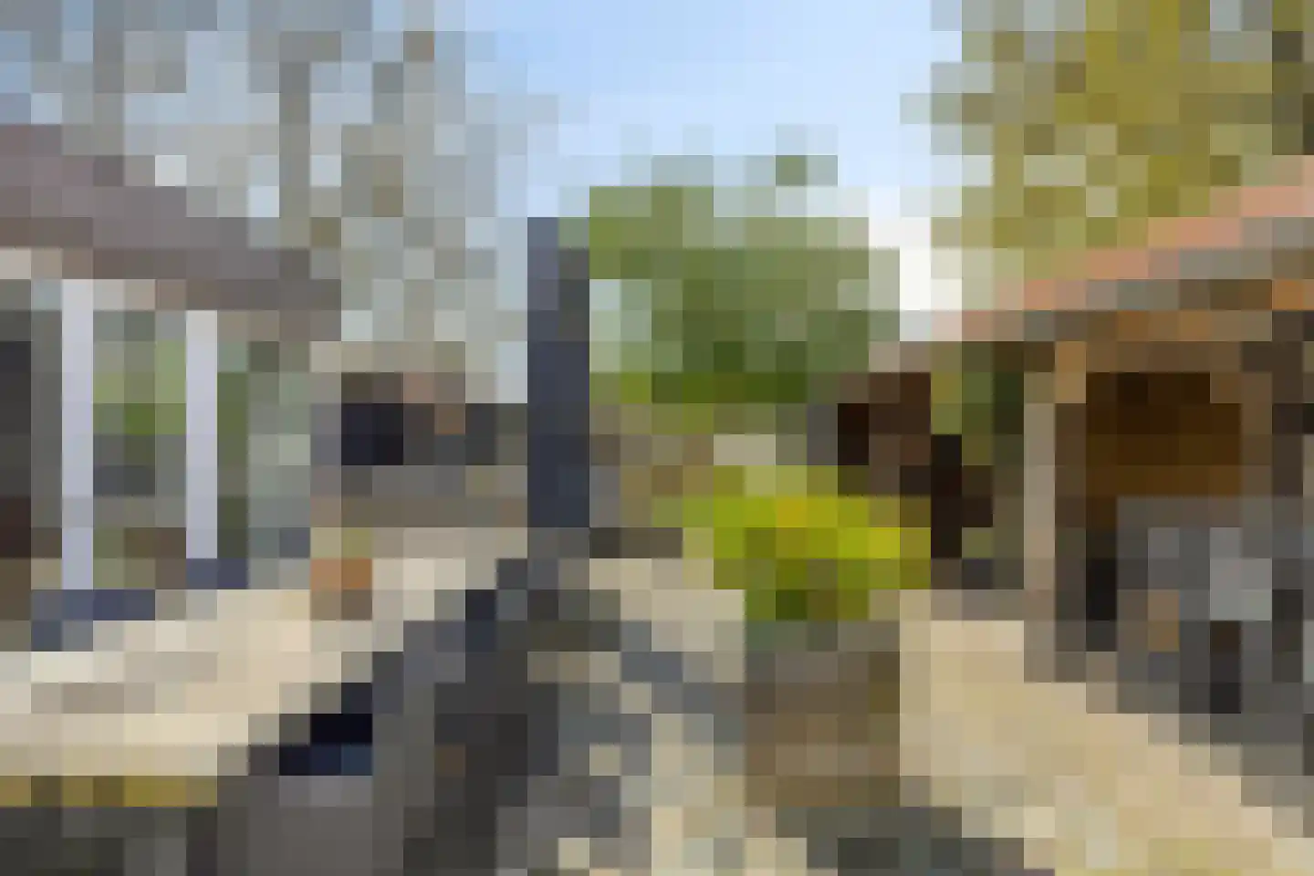 Kloosterlaan 57 Moergestel thumbnail 27