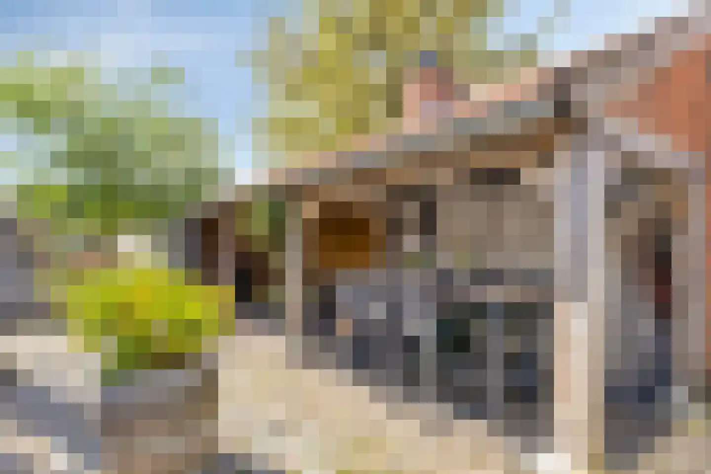 Kloosterlaan 57 Moergestel thumbnail 29