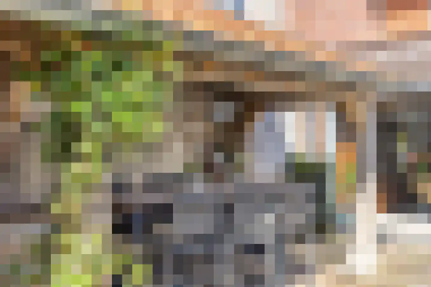 Kloosterlaan 57 Moergestel thumbnail 30