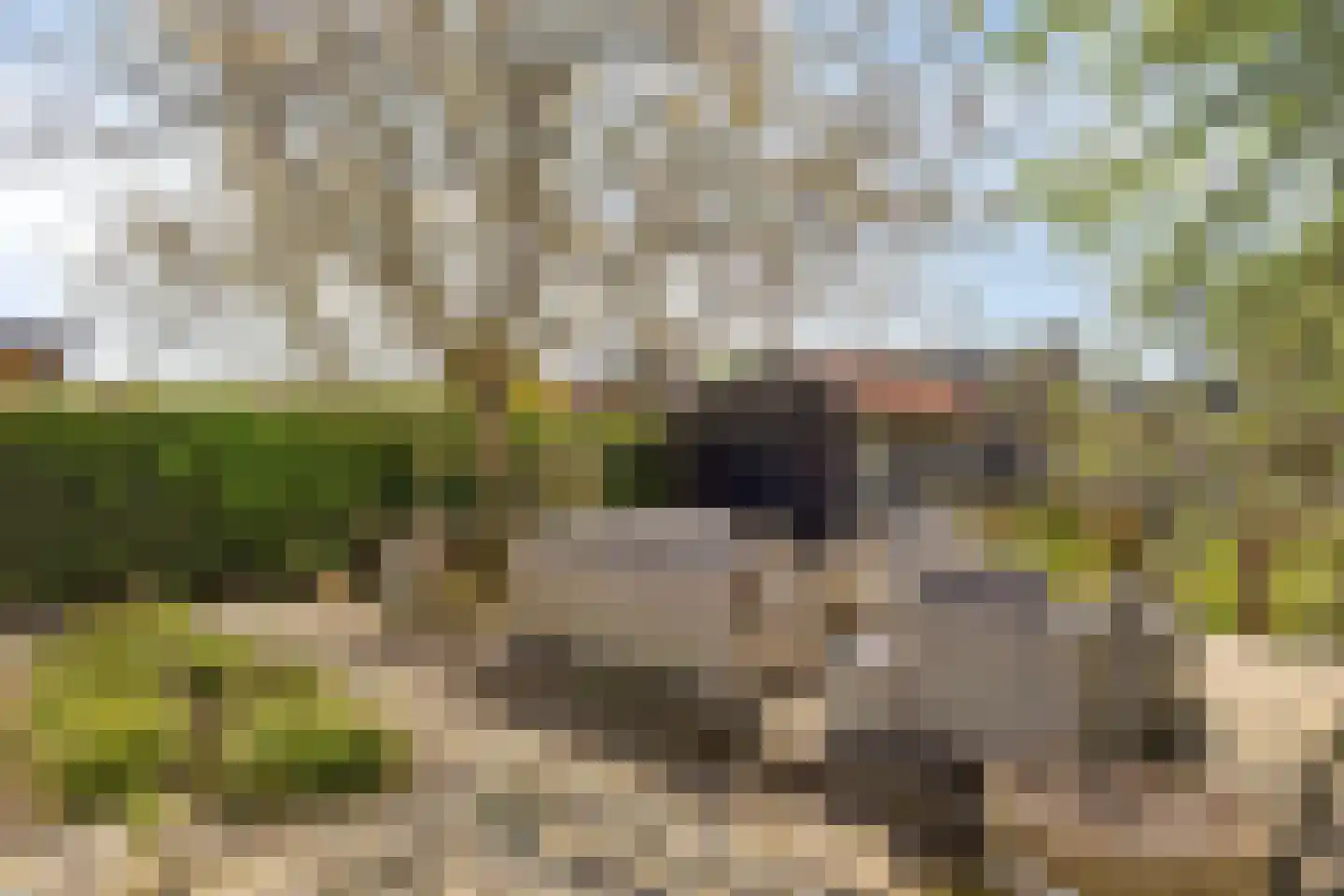Kloosterlaan 57 Moergestel thumbnail 31