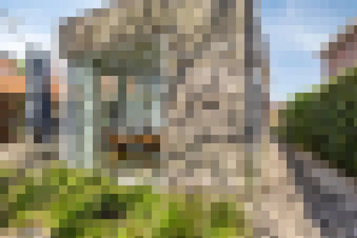 Kloosterlaan 57 Moergestel thumbnail 34