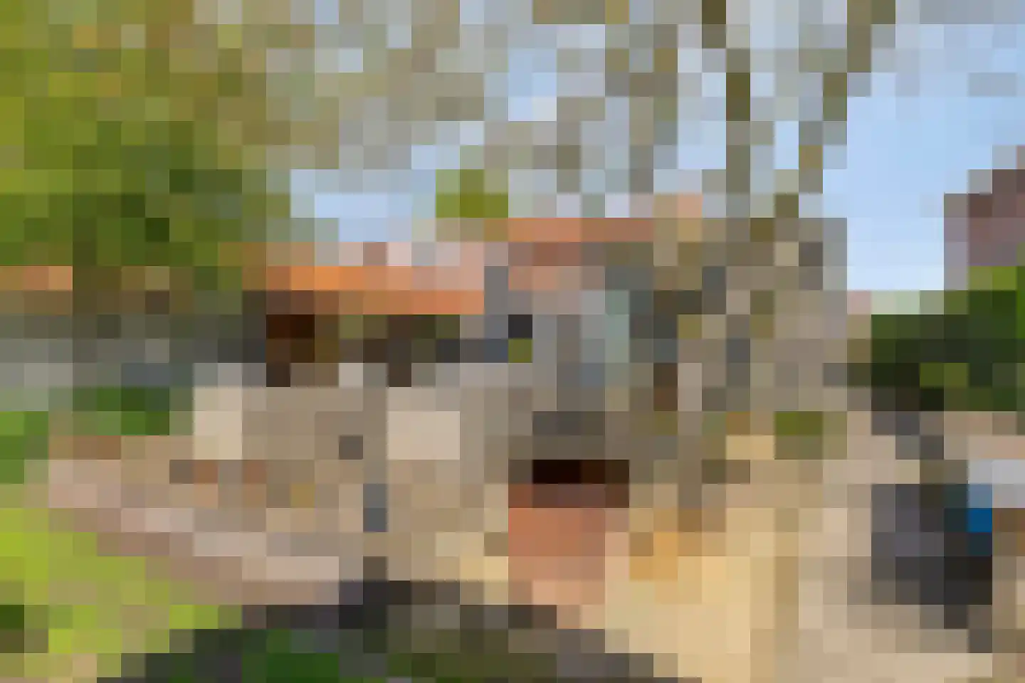 Kloosterlaan 57 Moergestel thumbnail 35