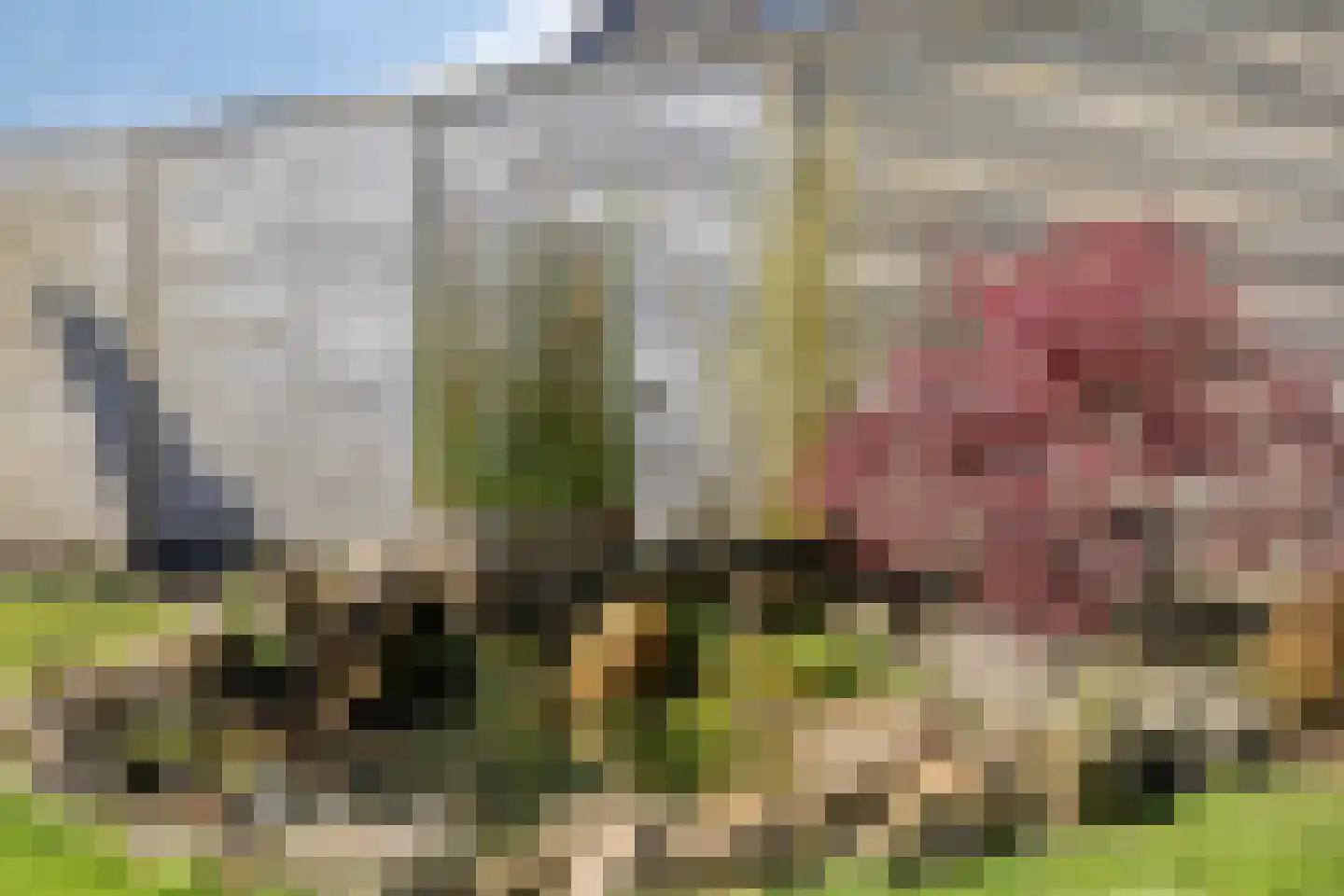 Kloosterlaan 57 Moergestel thumbnail 37
