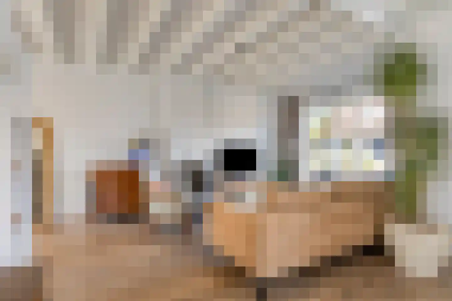 Kloosterlaan 57 Moergestel thumbnail 4