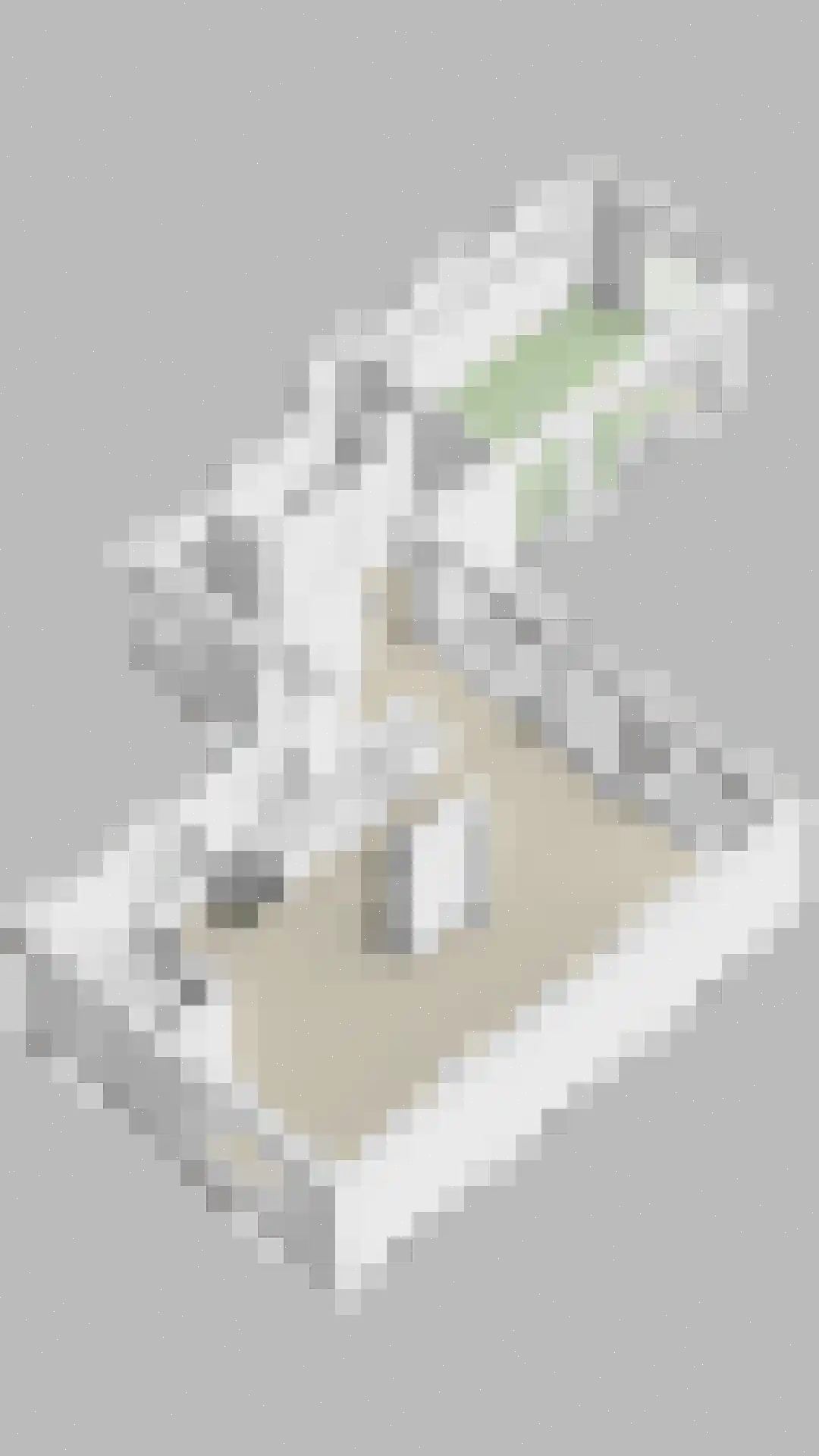 Kloosterlaan 57 Moergestel thumbnail 51