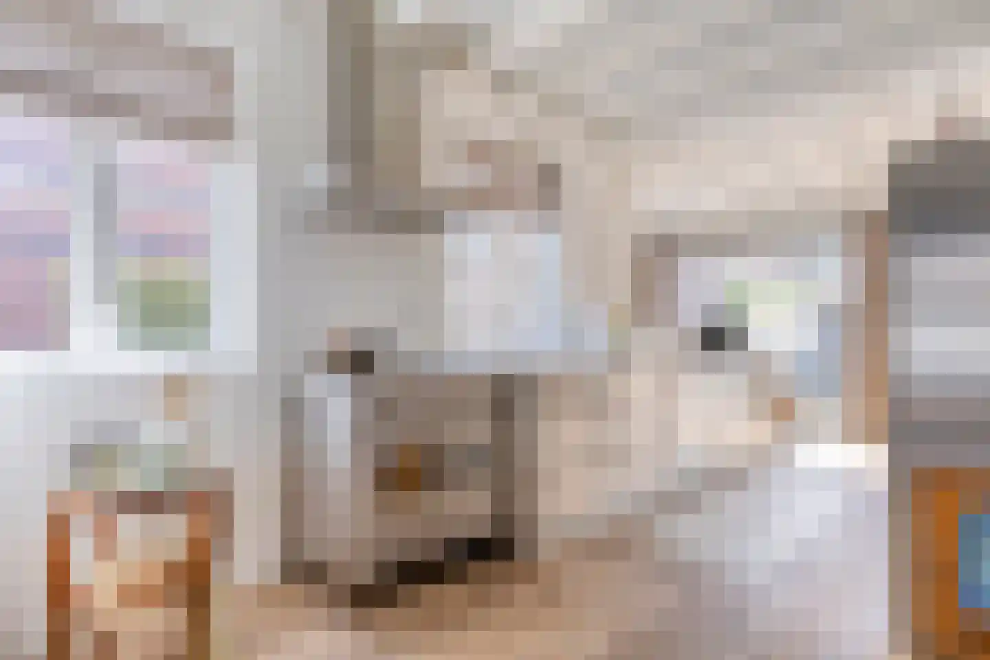 Kloosterlaan 57 Moergestel thumbnail 8