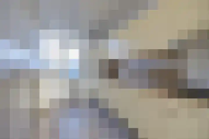 Kloosterlaan 7 Etten-Leur thumbnail 11