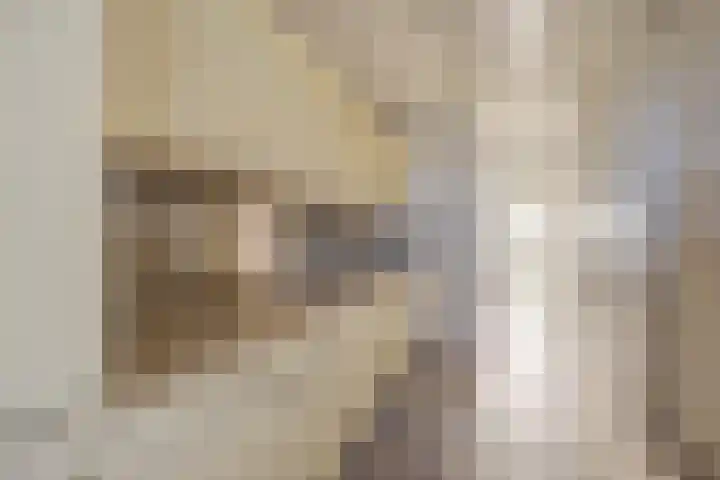 Kloosterlaan 7 Etten-Leur thumbnail 13