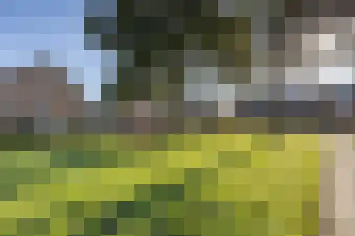 Kloosterlaan 7 Etten-Leur thumbnail 35