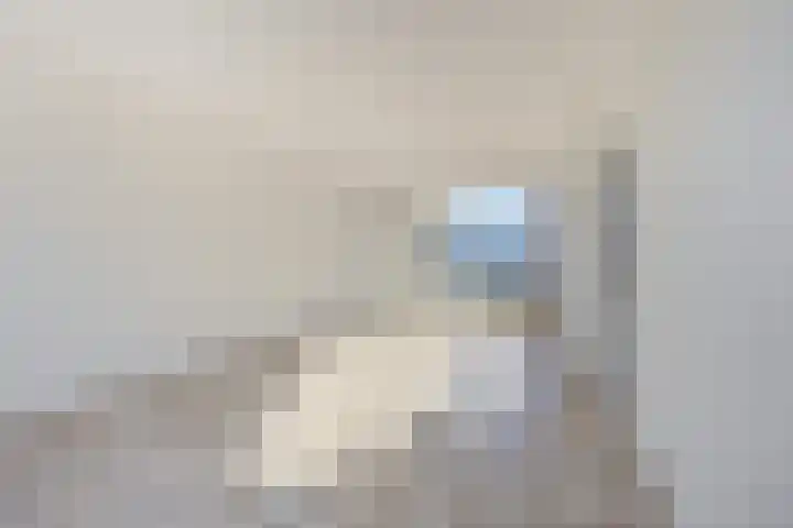 Kloosterlaan 7 Etten-Leur thumbnail 8