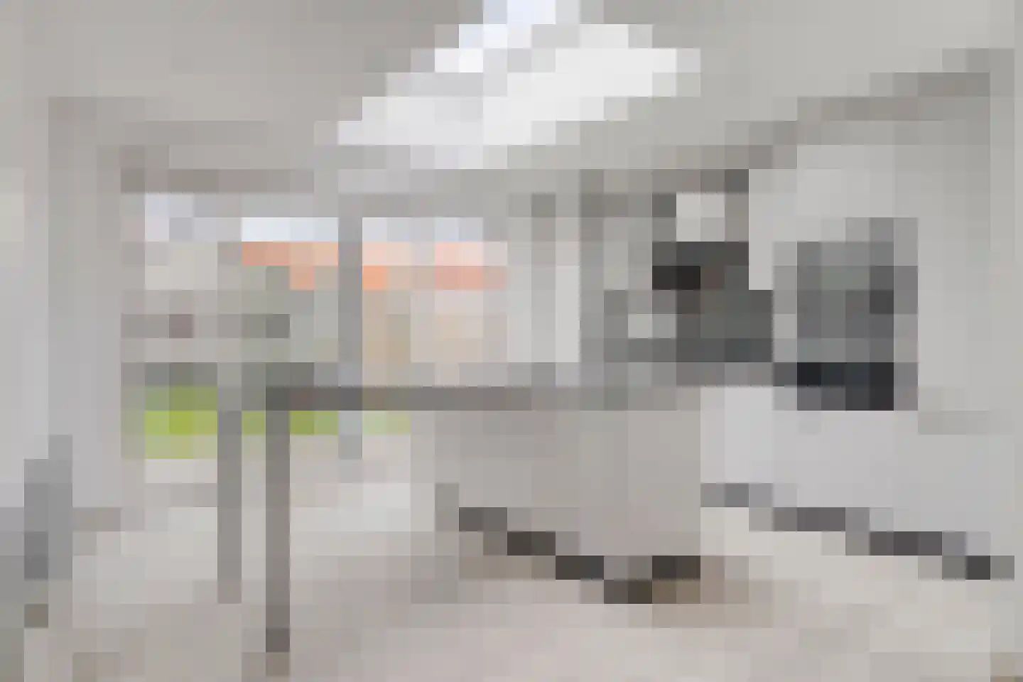 Kloosterlaan 7 Sas van Gent thumbnail 14