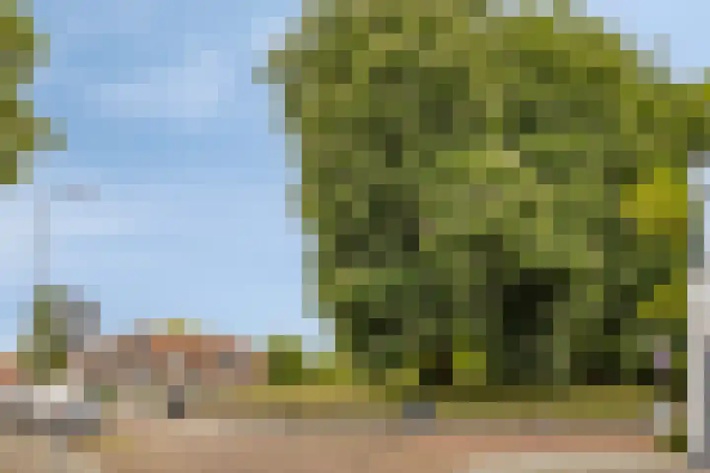 Kloosterlaan 7 Sas van Gent thumbnail 7