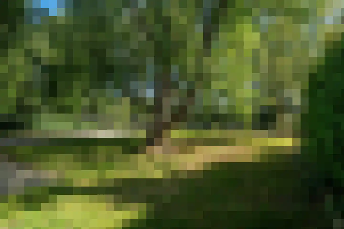 Kloosterlaan 75 Burgum thumbnail 12