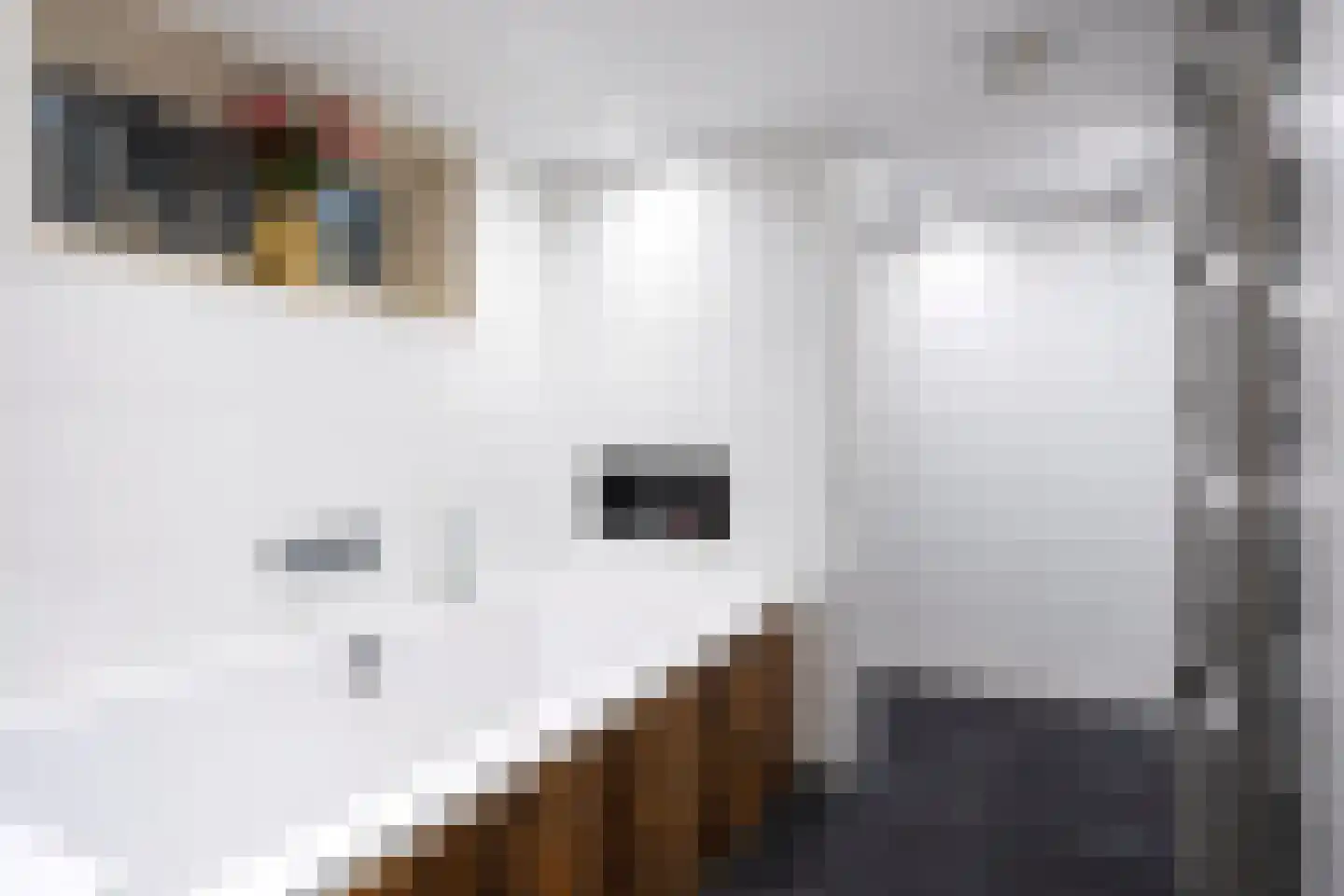 Kloosterlaan 75 Burgum thumbnail 32
