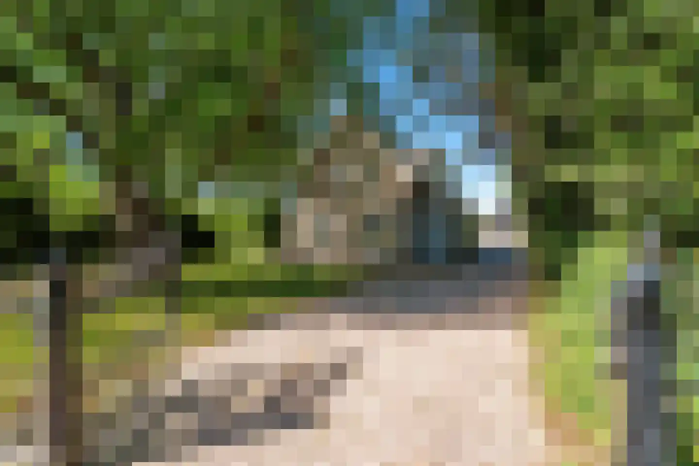 Kloosterlaan 75 Burgum thumbnail 4