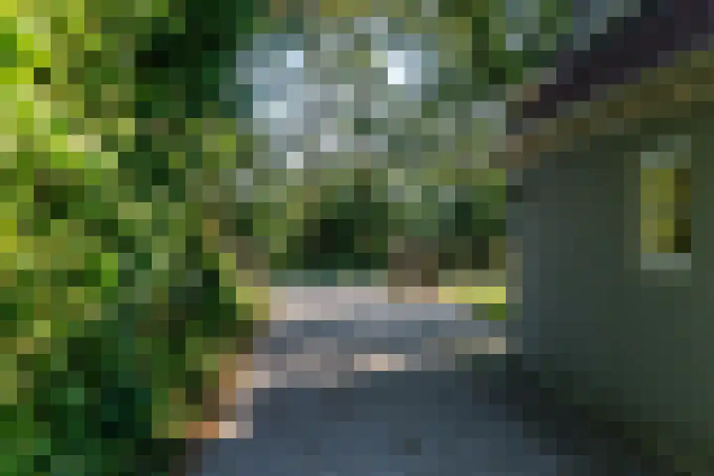 Kloosterlaan 75 Burgum thumbnail 44