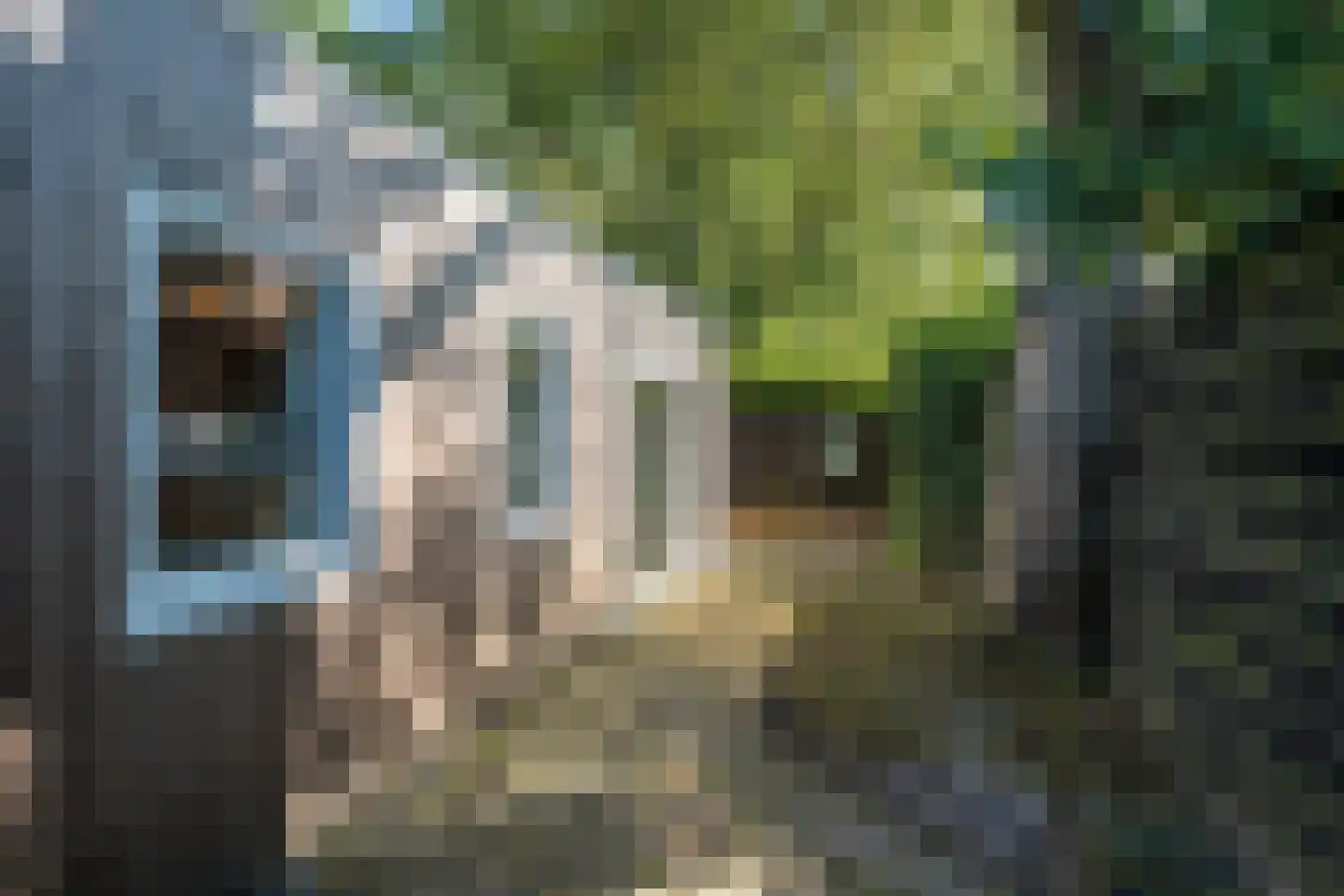 Kloosterlaan 75 Burgum thumbnail 47